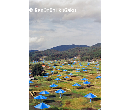 クリスト アンブレラ3