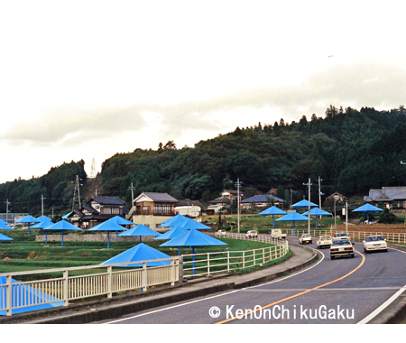 クリスト アンブレラ4