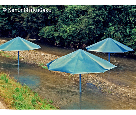 クリスト アンブレラ7