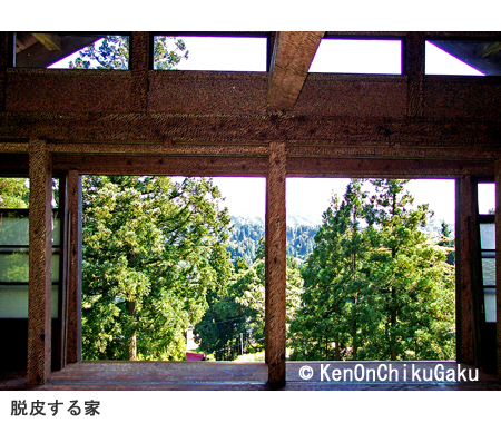 脱皮する家-1