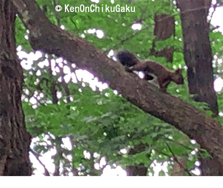 北海道ホテル21