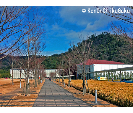 古代出雲歴史博物館-2