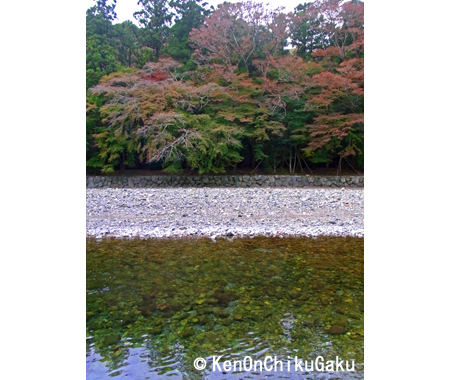 伊勢・式年遷宮-1