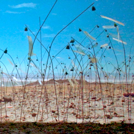 ボルタンスキー展